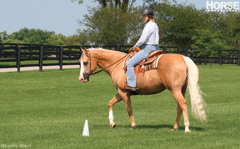 Western Cones Exercise