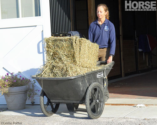 Barn Chores