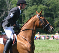 The 2008 USEA Gold Cup Series begins in March