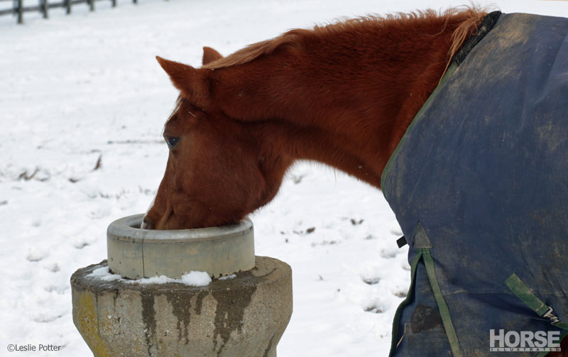 Drinking water