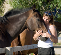 A horse who has suffered from abuse in the past will take time become comfortable around people again