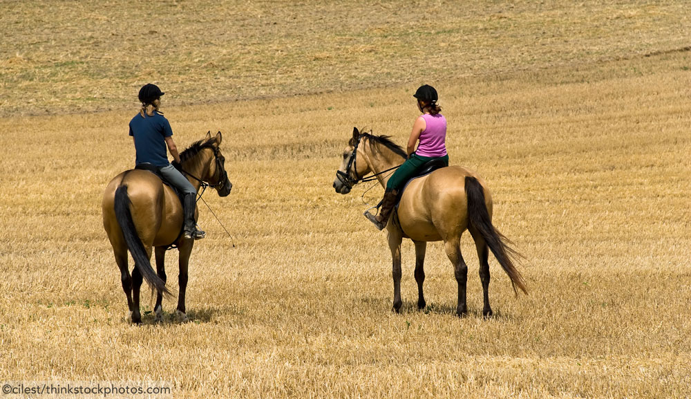 Friends Riding Horses