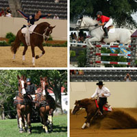 World Equestrian Games Sports