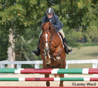 Youth equestrian