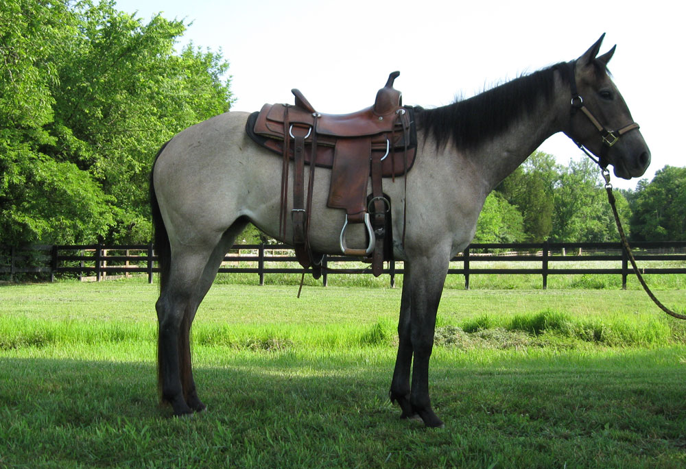 Her horse and zeena Ethan Frome