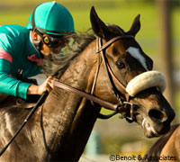 Zenyatta's undefeated streak ended at the 2010 Breeder's Cup