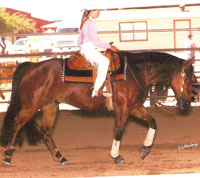 Temecula Toy Boy and rider Tara