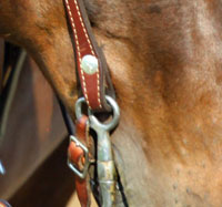 Slot Conchos are Easy to Use and Safer than Chicago Screws for Attaching  Bits to Headstalls - Quarter Horse News