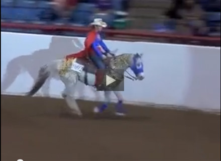 Superman Reining Freestyle