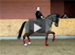 Bareback Dressage with Isabell Werth