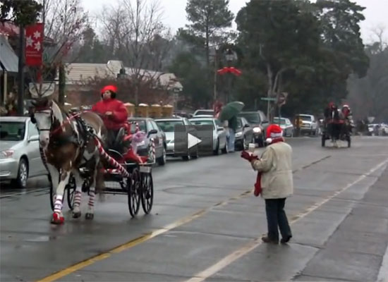 Christmas Carriage Parade