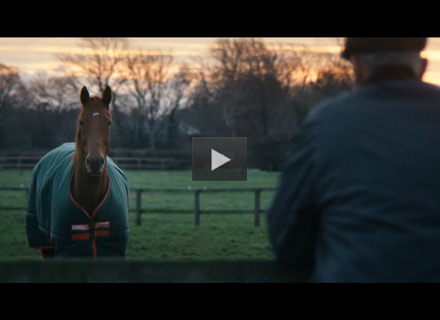 A Man and His Horse