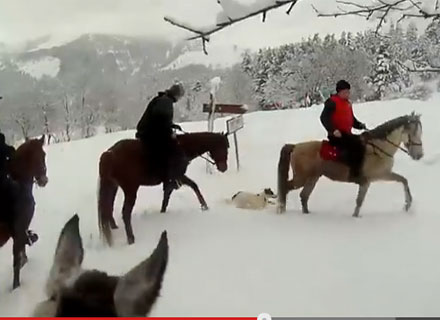 Snowy Ride