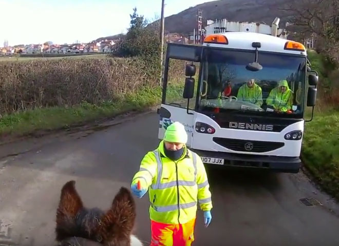 Horse Meets Garbage Truck