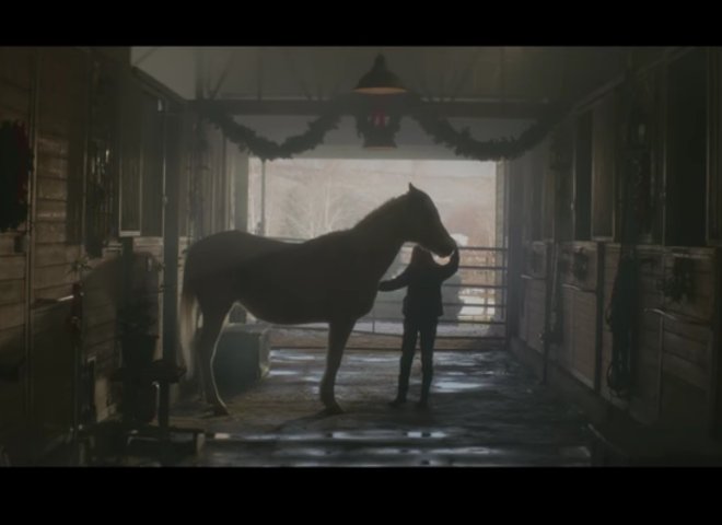 Last Horse at the Rescue