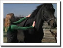 Video: Horse Body Condition Scoring