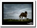 2009 Budweiser Clydesdale Ad - Generations