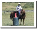 Horse Training Videos with Jonathan Field