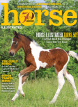 Horse Illustrated Print Edition