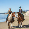 Take a horseback beach trip