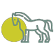 Horse Illustrated