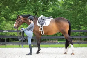 Mobility Exercises for Equestrians