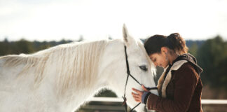 A woman hugging a gray gelding.