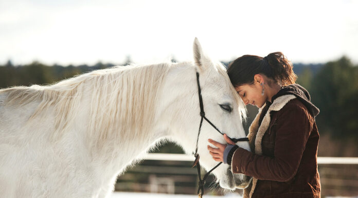 A woman hugging a gray gelding.