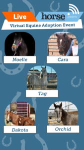 ASPCA Virtual Adoption Event – May 10, 2023