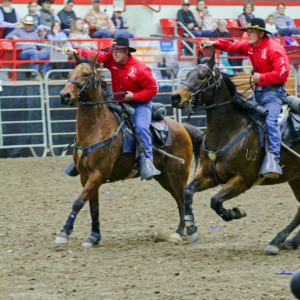 EquiFest of Kansas: A Must-See Event for Horse Lovers