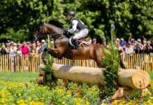 Michael Jung (GER) and Chipmunk FRH take the lead in eventing at the 2024 Paris Olympics after cross-country