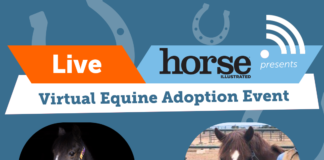 ASPCA Virtual Adoption Event