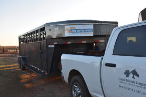 The ASPCA Horse Adoption Express