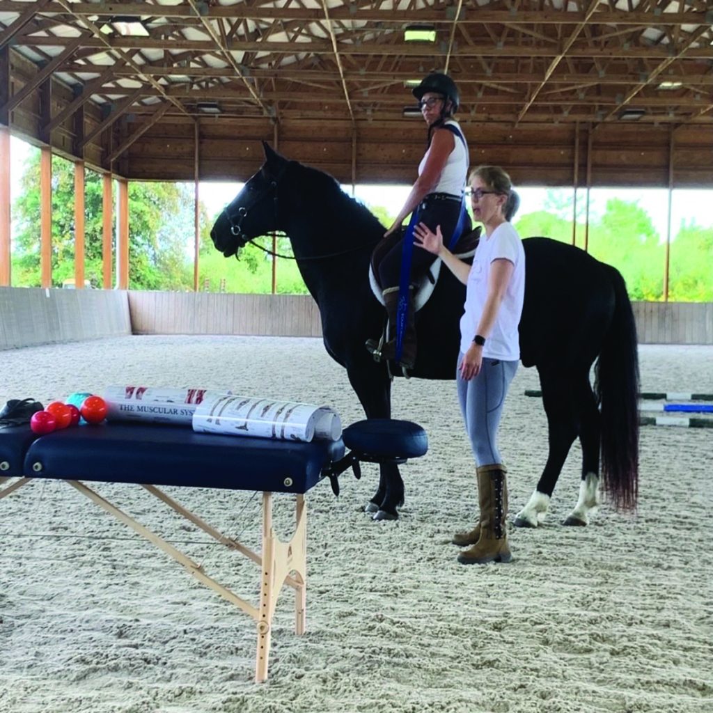 physical therapy for equestrians