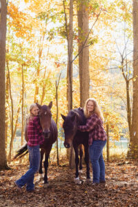 Adopt a Horse Month 2025: Finding Forever