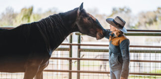 Humane Society of North Texas head trainer Amanda Stevens connecting with Jake, an owner-surrendered feral stallion