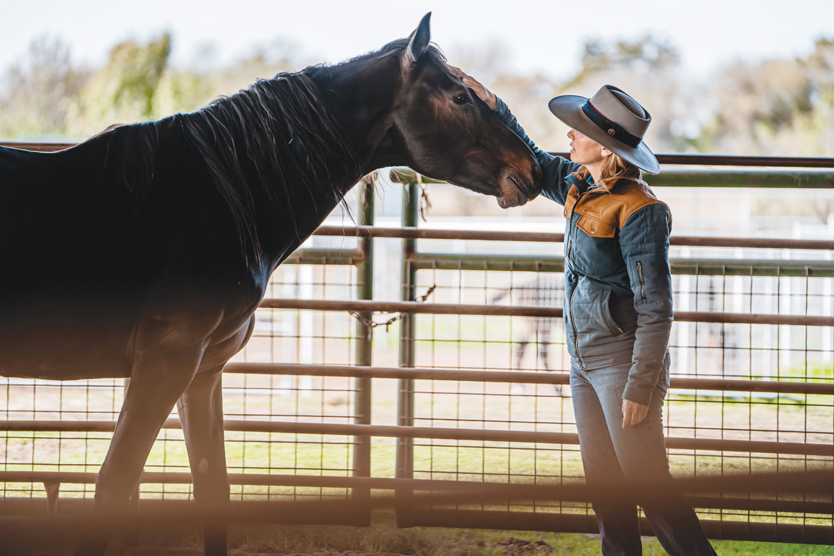 Humane Society of North Texas head trainer Amanda Stevens connecting with Jake, an owner-surrendered feral stallion