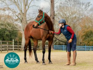 ASPCA Right Horse Adoptable Horse of the Week: Cajun Crazy