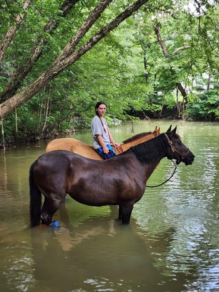 ASPCA Right Horse adoptable horse Dakota.