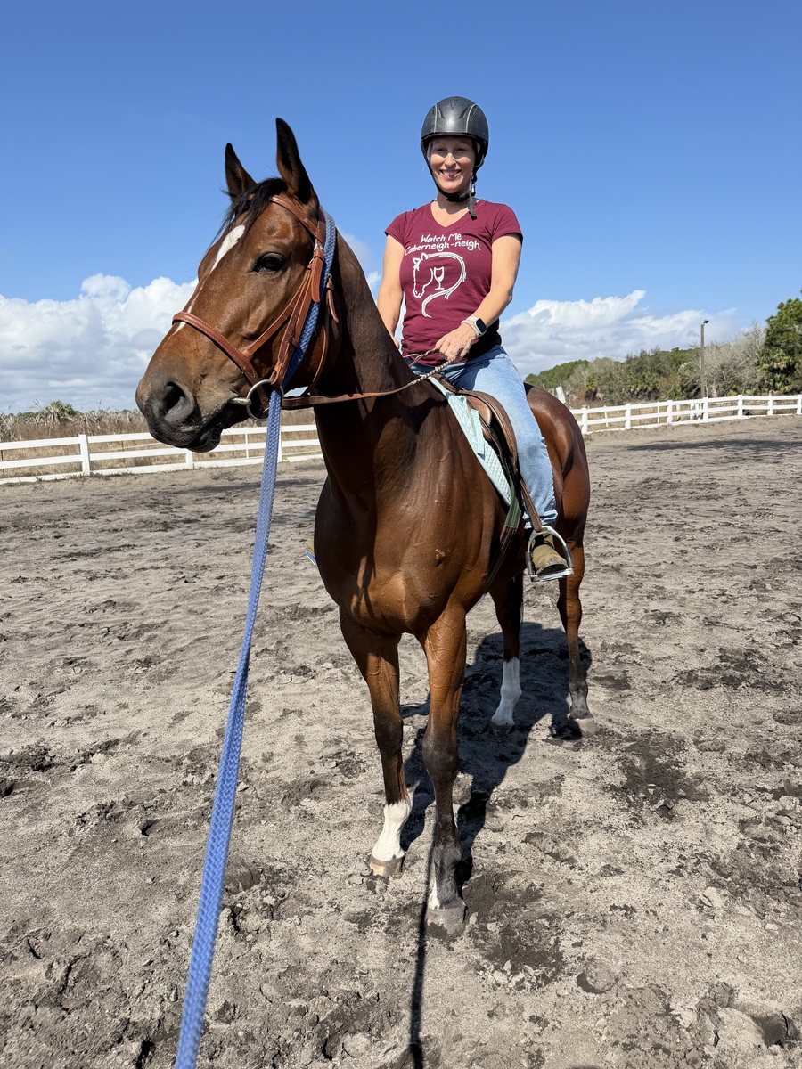 Adoptable horse Lil Bit Sideways.