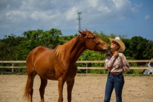 ASPCA Right Horse Adoptable Horse of the Week: Tairaterces