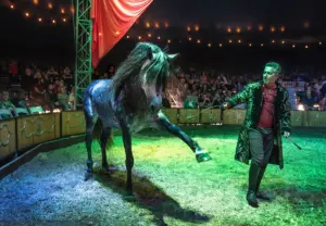 Barn Banter – Episode 40: Sponsored by 4CYTE