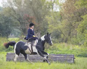 Barn Banter – Episode 42