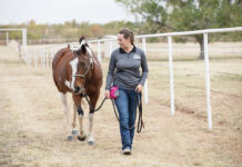 Evaluating Horses with the Basic Behaviors Profile