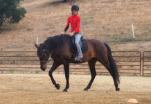 A girl rides her horse, showing the benefits of walking her horse under saddle