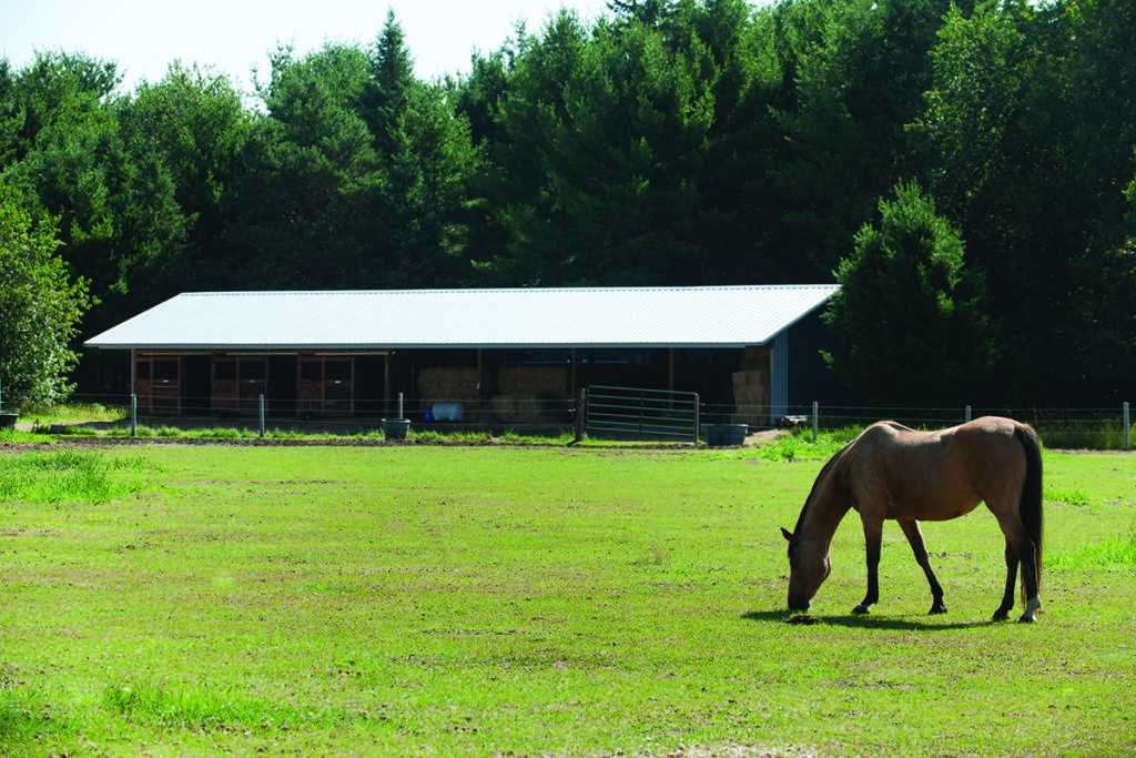 boarding your horse