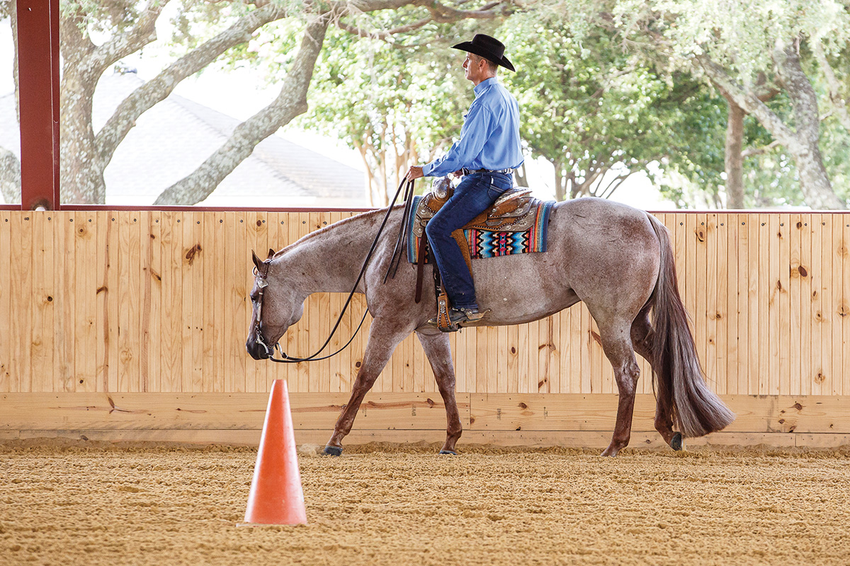 Bruce Vickery rides a horse at a walk in an arena