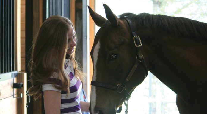 christine olsen with her blind horse, red