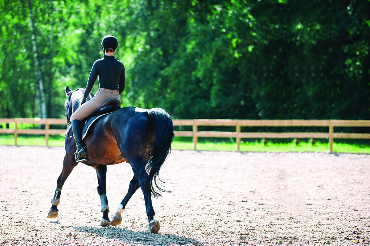 Selling Your “Perfect” Horse