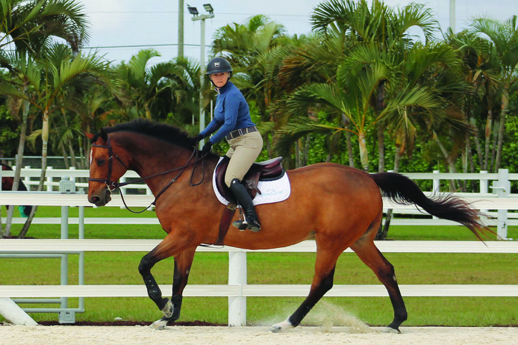 practice tracks for horse jumping